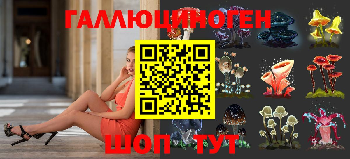 Галлюциногенные грибы Psilocybine cubensis  Псилоцибиновые грибы Psilocybine cubensis  Вход с VPN  Гусь-Хрустальный 